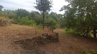Terreno de 6200 m² em Viseu