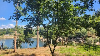 Land for sale in Santa Comba Dão, Portugal — €75,000