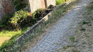 Land for sale in Arcos de Valdevez, Portugal — €9,700