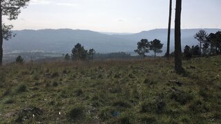 Terreno para venda em Celorico da Beira, Portugal — 20 990 €
