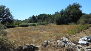 Terreno de 1900 m² em Vila Real