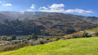 Land for sale in Peso da Régua, Portugal — €220,000