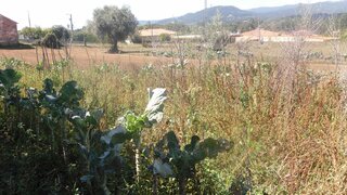 Terreno de 3600 m² em Viana do Castelo