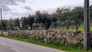 Land for sale in Gouveia, Portugal — €80,000