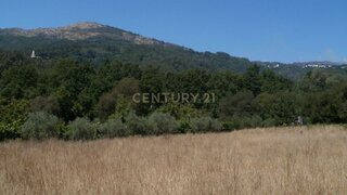 Land for sale in Tondela, Portugal — €33,000