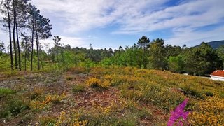Terreno de 1400 m² em Viana do Castelo