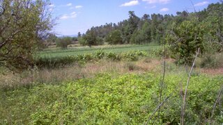 Terreno em Sernancelhe
