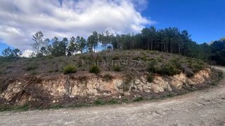 Terreno de 4000 m² em Vila Real