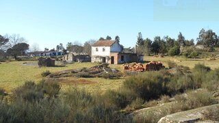 Terreno para venda em Mangualde, Portugal — 115 000 €