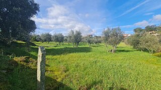 Land for sale in Nelas, Portugal — €35,000