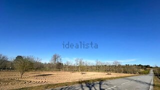 Terreno em Almeida