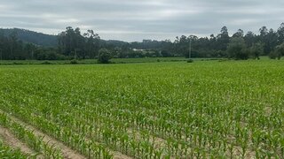 Terreno para venda em Ponte de Lima, Portugal — 500 000 €
