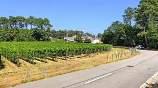 Land for sale in Monção, Portugal — €83,000