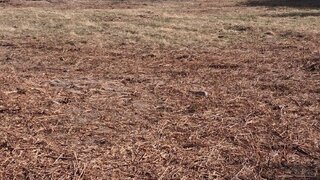 Terreno em Gouveia · 13 622 m² · 27 500 €