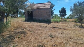 Land for sale in Celorico da Beira, Portugal — €56,000