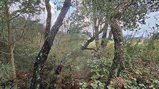 Terreno de 4990 m² em Valença