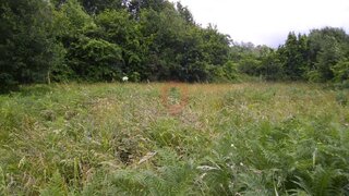 Terreno · 2000 m² · 30 000 €