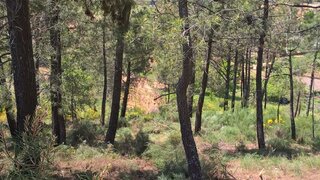 Terreno de 1000 m² em Vila Real