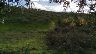Land for sale in Mirandela, Portugal — €265,000