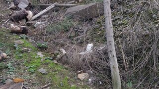 Land for sale in Freixo de Espada à Cinta, Portugal — €35,000