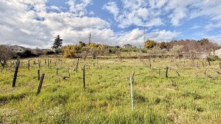 Land for sale in Lamego, Portugal — €2,200,000