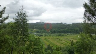 Terreno · 45 000 m² · 250 000 €