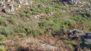Land for sale in Mangualde, Portugal — €40,000