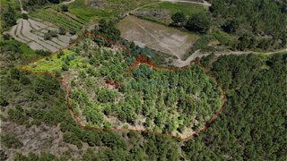 Terreno de 43 680 m² em Vila Real