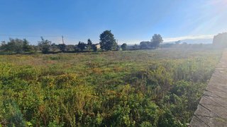 Land for sale in Nelas, Portugal — €250,000