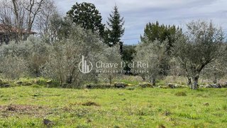 Land for sale in Mangualde, Portugal — €49,000