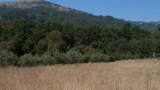 Land for sale in Tondela, Portugal — €30,000