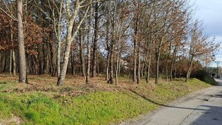 Land for sale in Sátão, Portugal — €35,000
