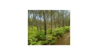 Land for sale in Sátão, Portugal — €27,000