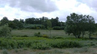 Terreno de 19 200 m² em Vila Real