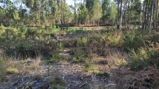 Terreno de 941 m² em Viseu