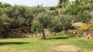 Land for sale in Celorico da Beira, Portugal — €55,000