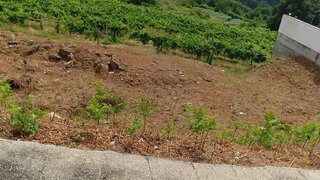 Land for sale in Melgaço, Portugal — €60,000