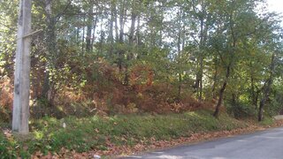 Terreno · 1400 m² · 50 000 €