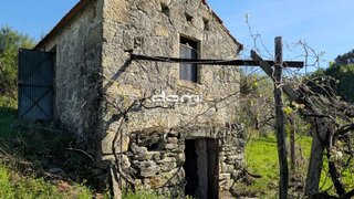 Land for sale in Oliveira de Frades, Portugal — €100,000
