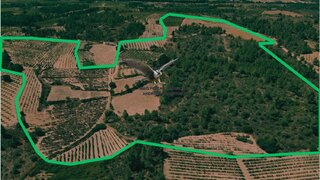 Land for sale in Pinhel, Portugal — €100,000