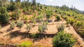 Land for sale in Nelas, Portugal — €14,990