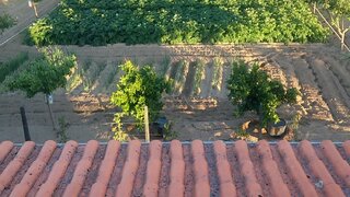 Land for sale in Mirandela, Portugal — €82,500