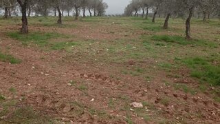 Land for sale in Mirandela, Portugal — €15,000