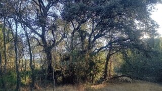 Terreno · 2000 m² · 4000 €