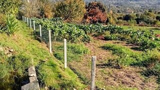 Land for sale in Arcos de Valdevez, Portugal — €40,000
