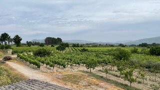 Land for sale in Moimenta da Beira, Portugal — €140,000