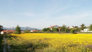 Land for sale in Vila Nova de Cerveira, Portugal — €160,000