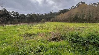 Terreno em Vila Nova de Cerveira