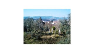 Land for sale in Vila Nova de Cerveira, Portugal — €250,000