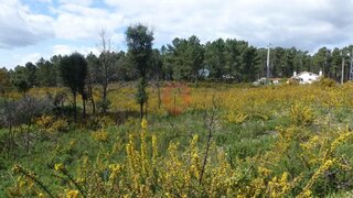 Land for sale in Monção, Portugal — €50,000